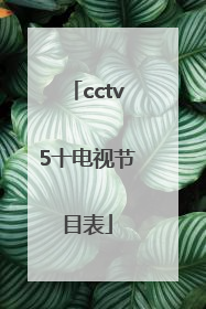cctv5十电视节目表