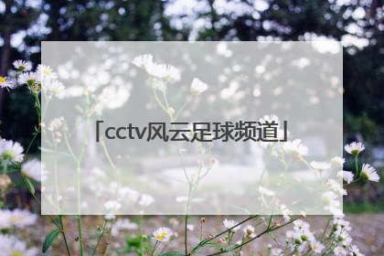 「cctv风云足球频道」cctv风云足球频道节目表