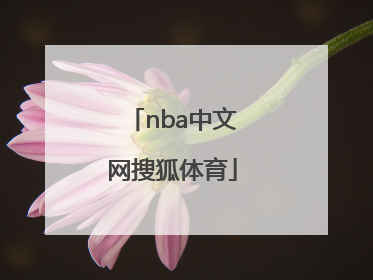 「nba中文网搜狐体育」nba新浪体育搜狐体育